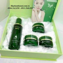 Bộ Mỹ Phẩm Trị Nám Tàn Nhang Dưỡng Trắng Da Hoa Cúc Con Bướm - Bo My Pham Tri Nam Tan Nhang Duong Trang Da Hoa Cuc Con Buom